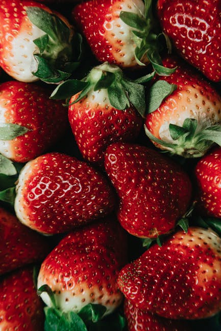 Opdag vores brede sortiment af jordbær planter